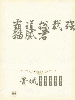 霸道总裁强制爱猫腻君