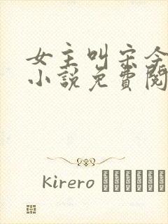 女主叫宋今禾的小说免费阅读