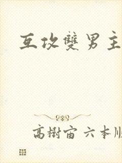 互攻双男主小说