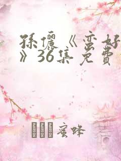 孙俪《蛮好人生》36集免费观看