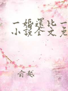 一婚还比一婚高小说全文免费阅读