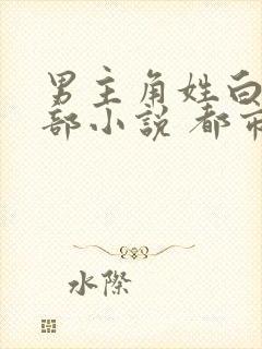 男主角姓白的全部小说 都市