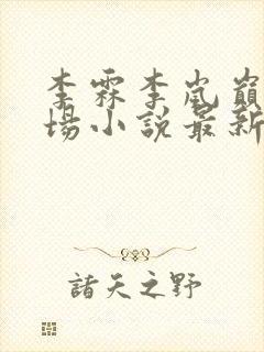 李霖李岚巅峰官场小说最新章节更新