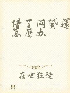 借了网贷还不起怎么办