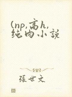 (np,高h,纯肉小说
