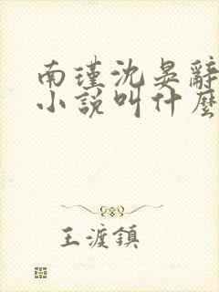 南瑾沈晏辞原著小说叫什么名字