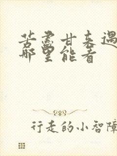 苦尽甘来遇见你哪里能看