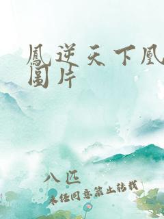 凤逆天下凰北月图片