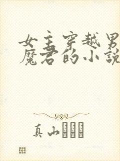 女主穿越男主是魔君的小说