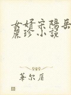 女婿宋阳岳母陈丽珍小说