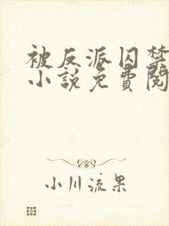 被反派囚禁之后小说免费阅读