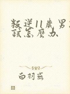 叛逆11岁男孩该怎么办