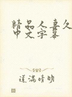 精品人妻久久久中文字幕