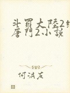 斗罗大陆2绝世唐门2小说
