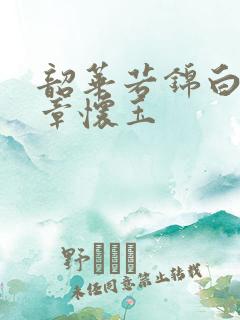 韶华若锦白敏敏章怀玉