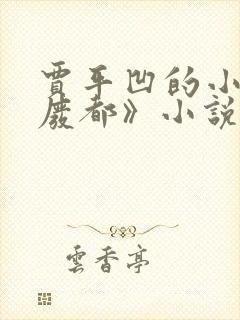 贾平凹的小说《废都》小说免费阅读