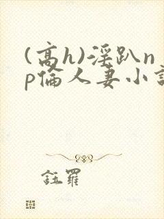 (高h)淫趴np伦人妻小说