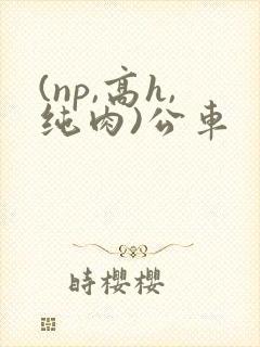 (np,高h,纯肉)公车
