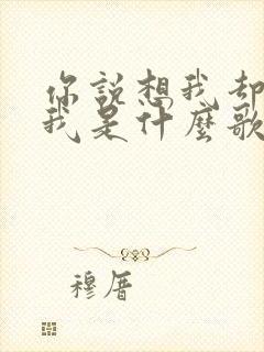 你说想我却不见我是什么歌