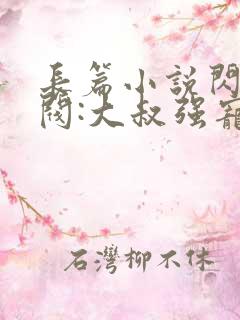 长篇小说闪婚财阀:大叔强宠小娇妻