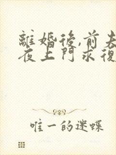 离婚后,前夫连夜上门求复婚