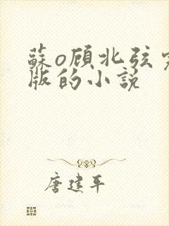 苏o顾北弦完结版的小说