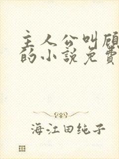 主人公叫顾北弦的小说免费阅读