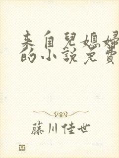 来自儿媳妇的爱的小说免费阅读