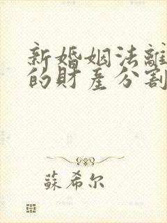 新婚姻法离婚后的财产分割