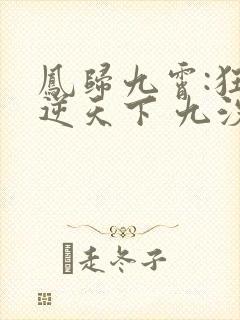 凤归九霄:狂妃逆天下 九汐公子