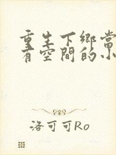 重生下乡当知青有空间的小说