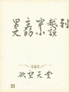 男主穿越到年代文的小说