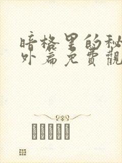 暗格里的秘密番外篇免费观看