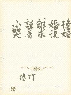 小说离婚后前夫哭着求复婚txt