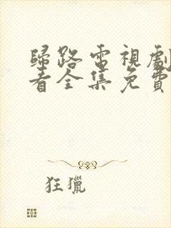 归路电视剧在线看全集免费高清