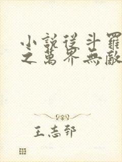 小说从斗罗开始之万界无敌