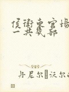 侯卫东官场笔记一共几部