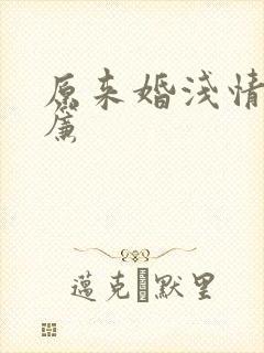 原来婚浅情深林帘