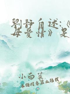 刘静自述:《父母爱情》是怎样出炉的