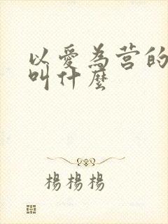 以爱为营的小说叫什么
