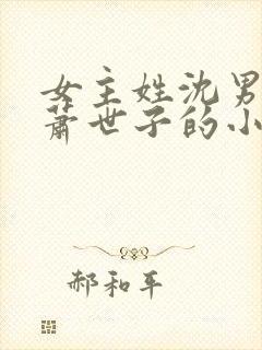 女主姓沈男主姓萧世子的小说