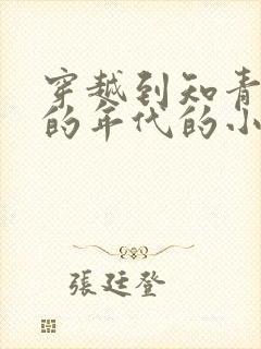 穿越到知青下乡的年代的小说