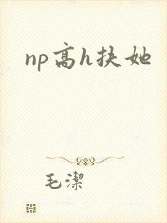 np高h扶她