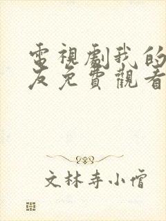 电视剧我的真朋友免费观看全集