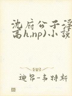 沈府公子淫史(高h,np)小说