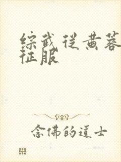 综武从黄蓉开始征服