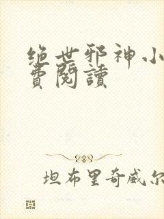 绝世邪神小说免费阅读