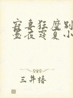 宠妻狂魔别太坏墨夜霆夏小汐