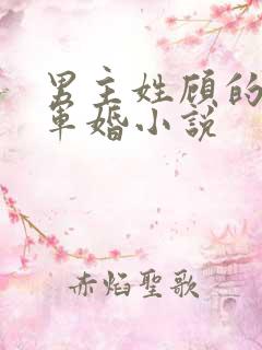 男主姓顾的所有军婚小说