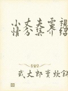 小丈夫电视剧剧情分集介绍